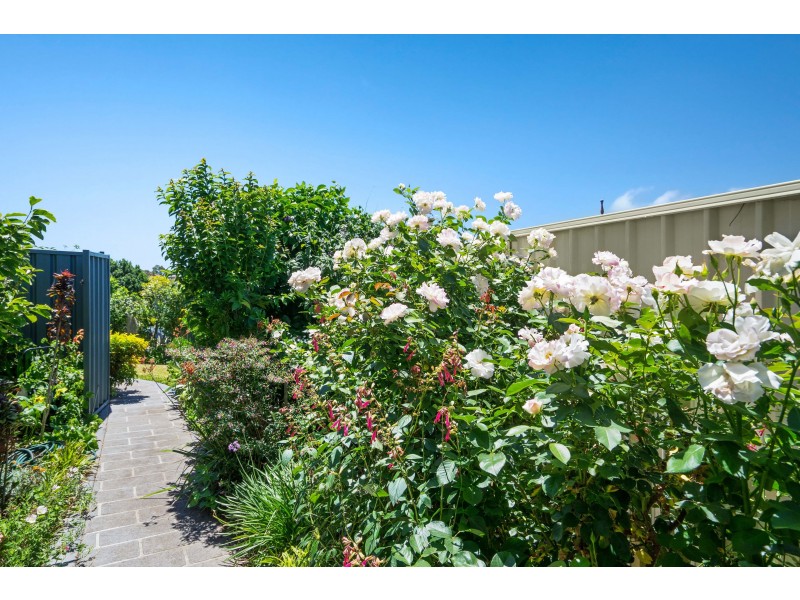 3 Laurina Avenue, Thornton NSW 2322