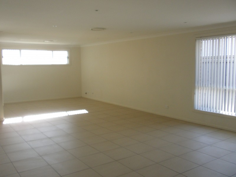 17 Dragonfly Drive, Chisholm NSW 2322