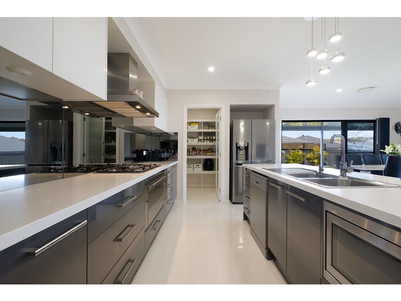 3 Pinchtail Street, Chisholm NSW 2322