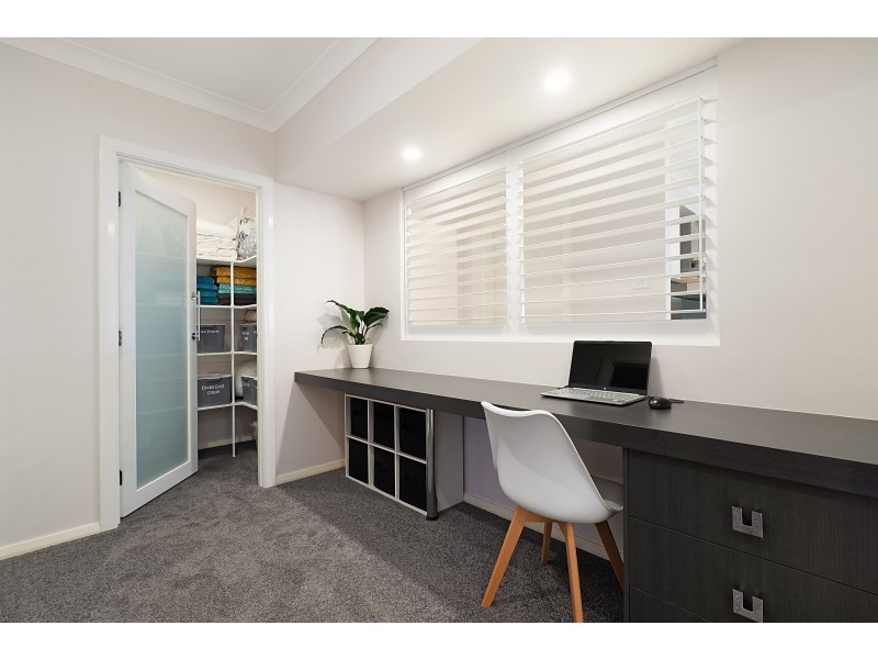 3 Pinchtail Street, Chisholm NSW 2322