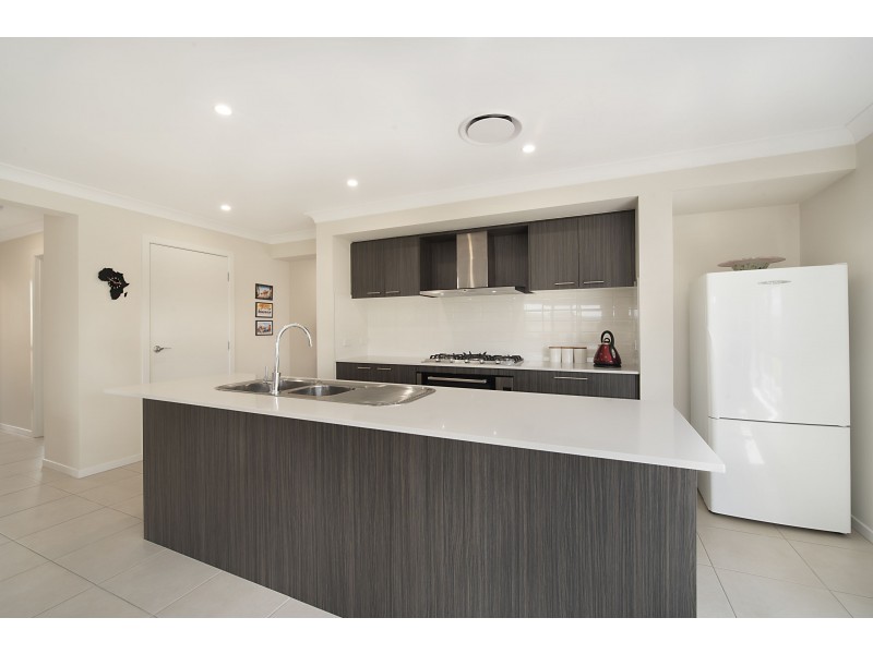 97 Dragonfly Drive, Chisholm NSW 2322