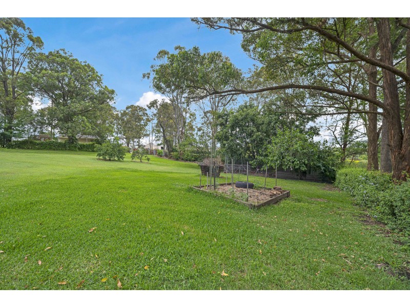 8 Tocal Road, Bolwarra Heights NSW 2320