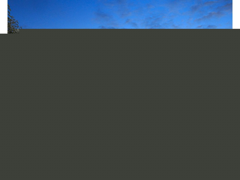 4 Sandalyn Avenue, Thornton NSW 2322