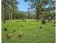 325 Mount Vincent Road, East Maitland NSW 2323