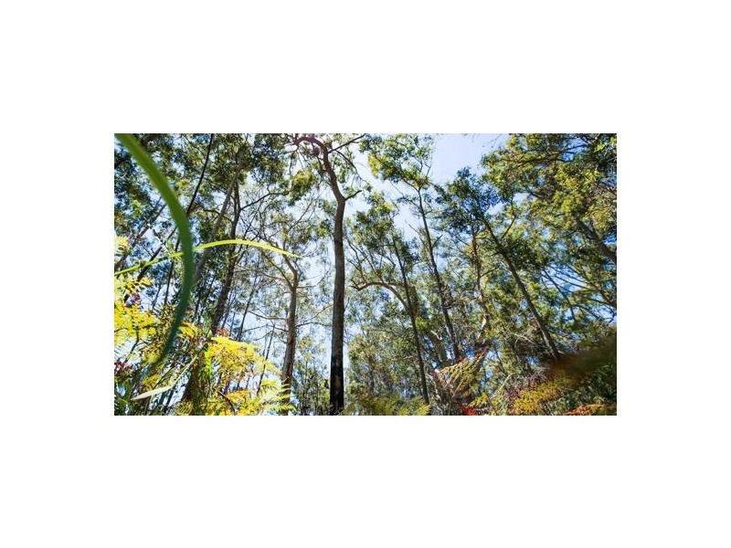 Bells Creek QLD 4551