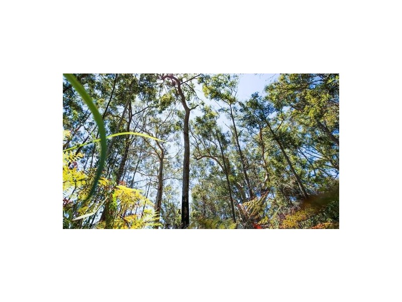 1231 Birchgrove Circuit ELEMENTS RELEASE, Bells Creek QLD 4551