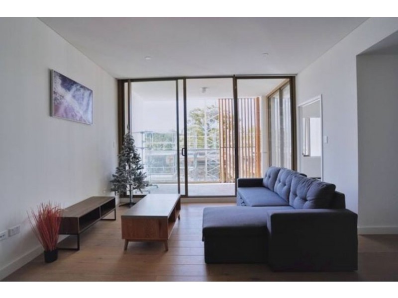 205 713 Elizabeth St, Waterloo NSW 2017, Australia, Waterloo NSW 2017