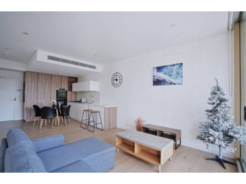 205 713 Elizabeth St, Waterloo NSW 2017, Australia, Waterloo NSW 2017