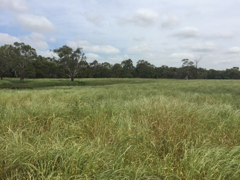 117 Cades Rd, Whittlesea VIC 3757