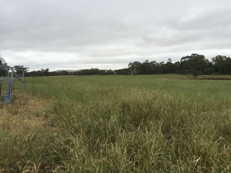 117 Cades Rd, Whittlesea VIC 3757