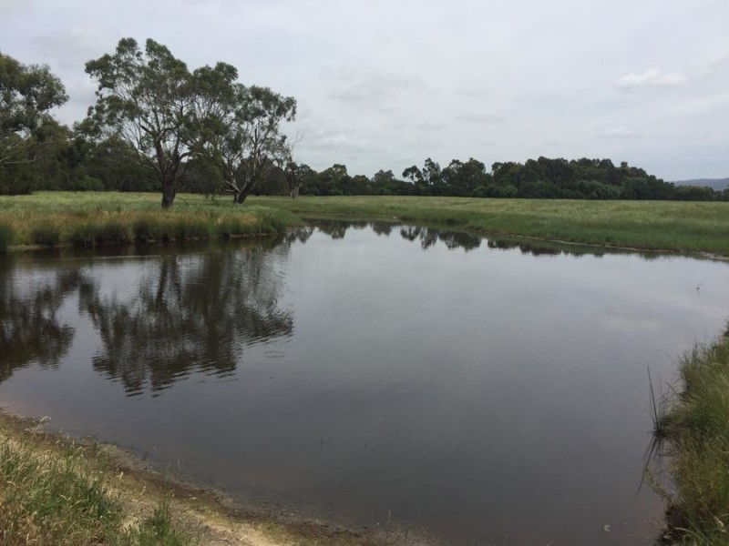 117 Cades Rd, Whittlesea VIC 3757