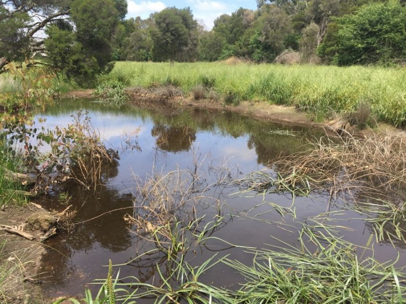 117 Cades Rd, Whittlesea VIC 3757