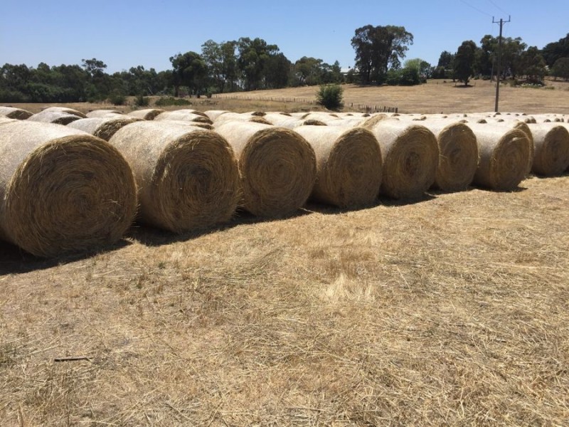 117 Cades Rd, Whittlesea VIC 3757