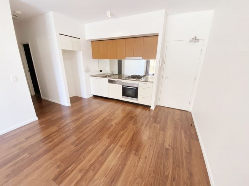 17 Gadigal Avenue, Zetland NSW 2017