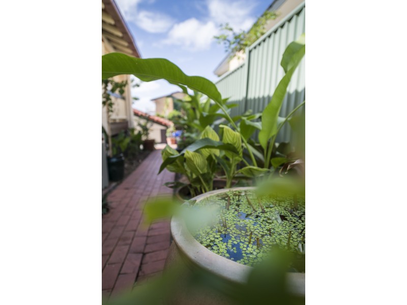 2/3 Moreton Street, New Farm QLD 4005