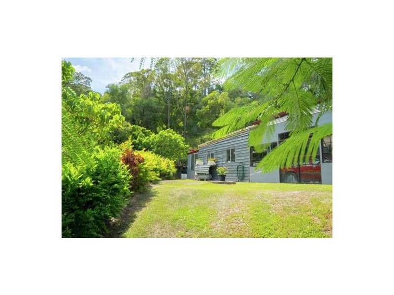 31 Lillee Ct, Currumbin Valley QLD 4223