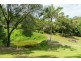 31 Lillee Ct, Currumbin Valley QLD 4223