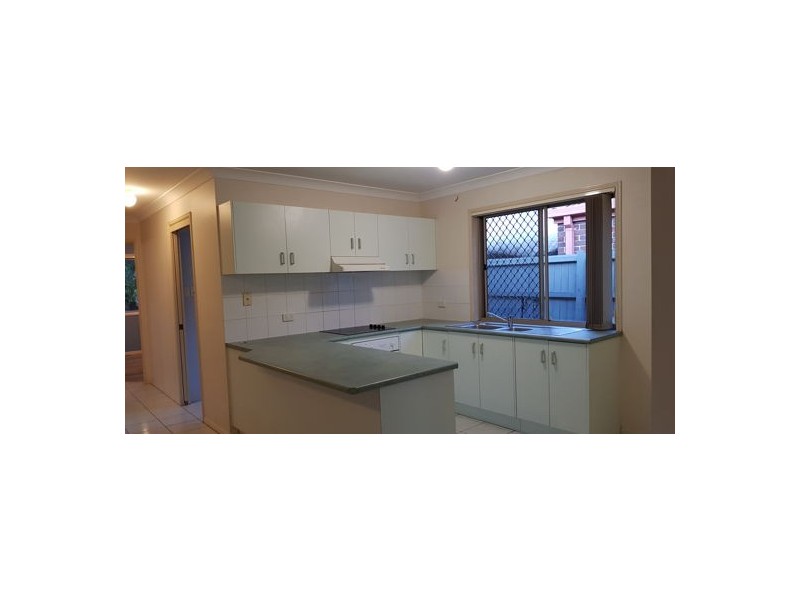 42 Benbek Circuit, Sunnybank Hills QLD 4109