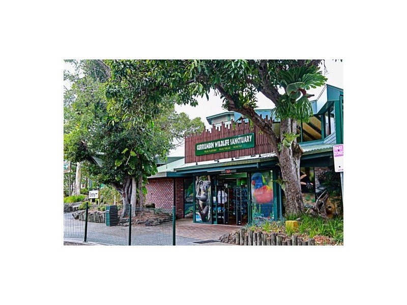 25 Alpha Ave, Currumbin QLD 4223