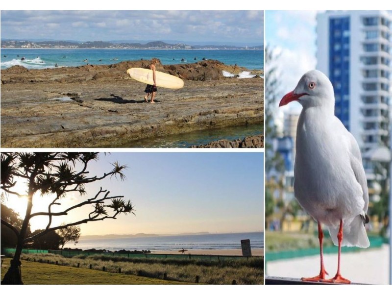 Coolangatta QLD 4225