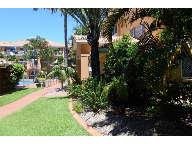 Tugun QLD 4224