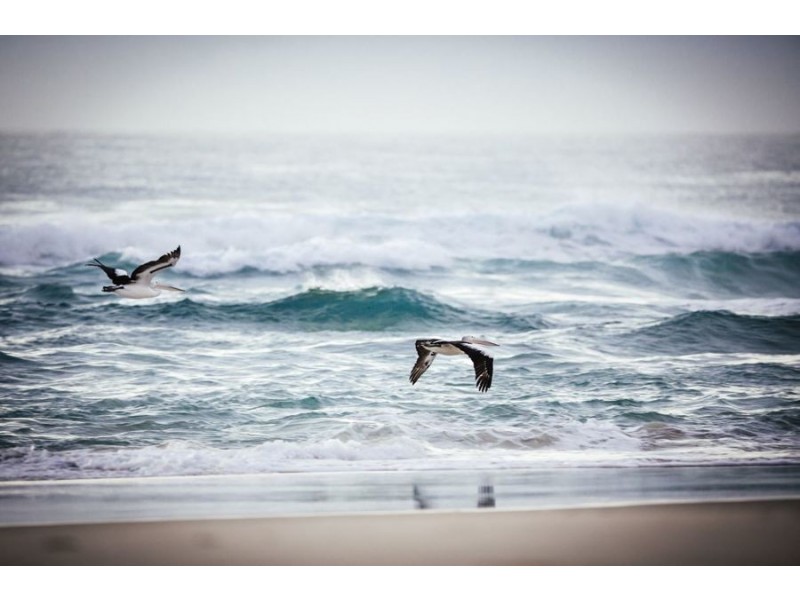 Mermaid Beach QLD 4218