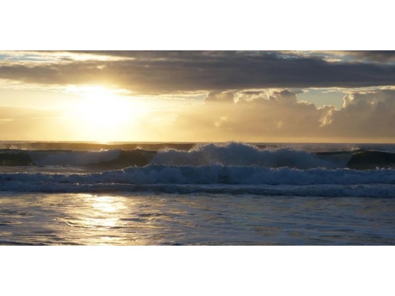 Palm Beach QLD 4221