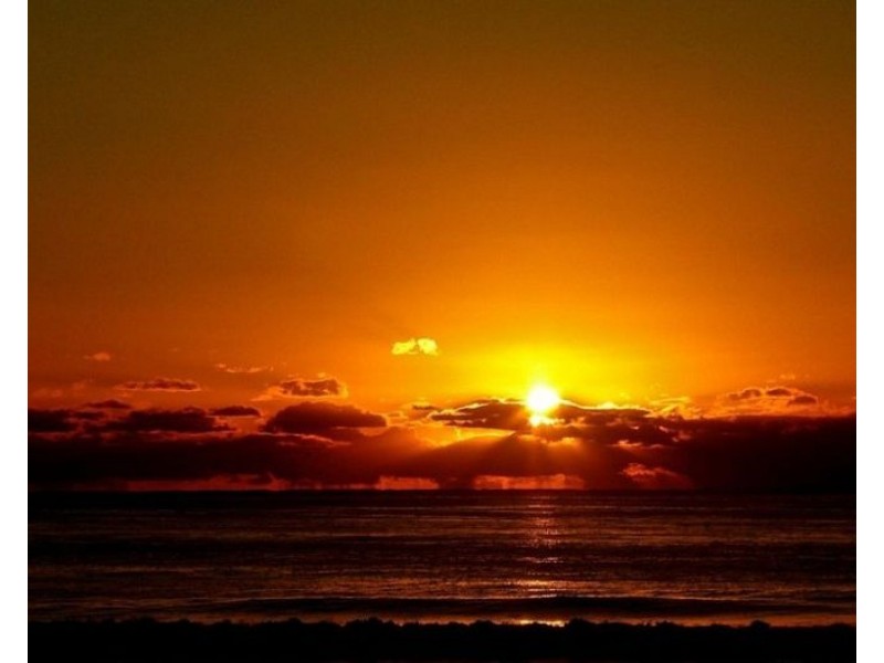 Currumbin QLD 4223