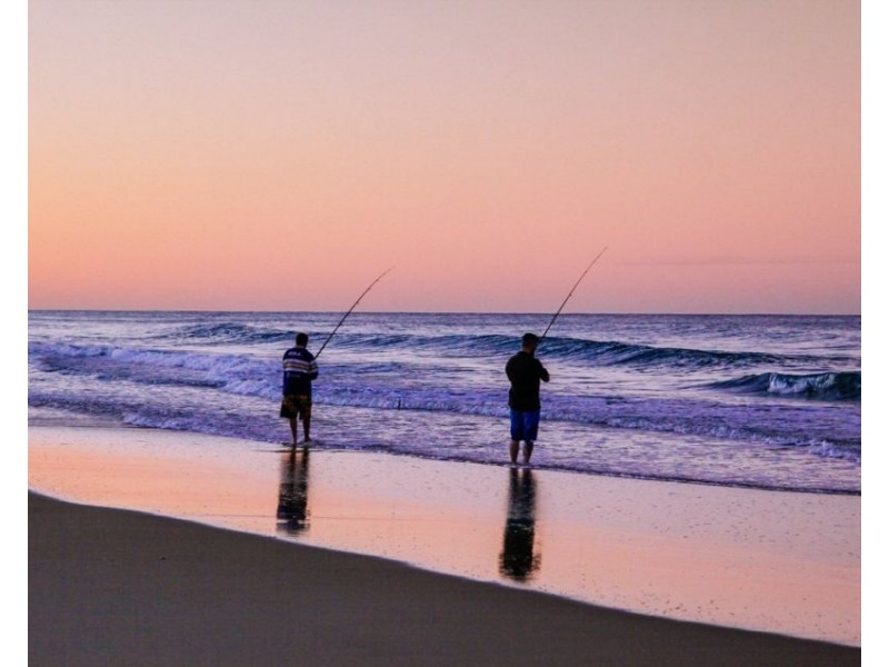 Currumbin QLD 4223