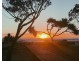 Miami QLD 4220