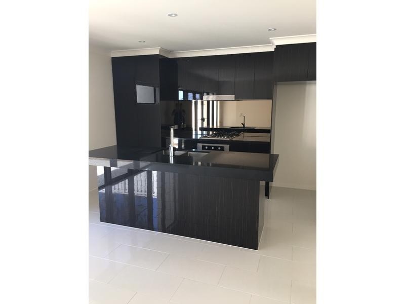 8 Curlew Way, Peregian Springs QLD 4573