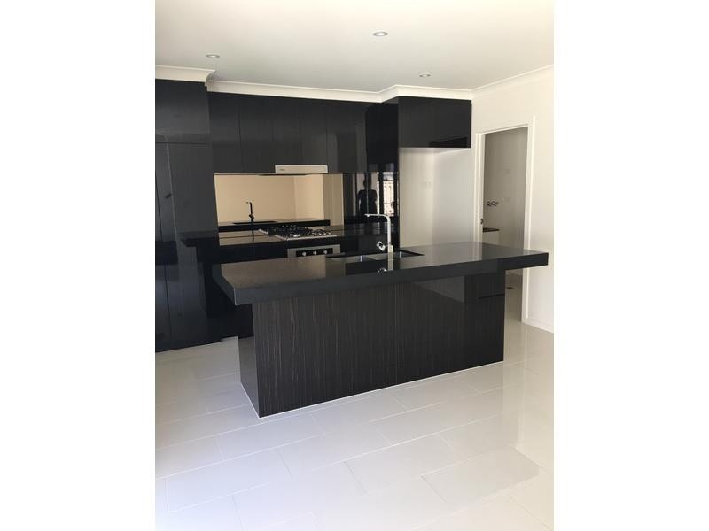 8 Curlew Way, Peregian Springs QLD 4573