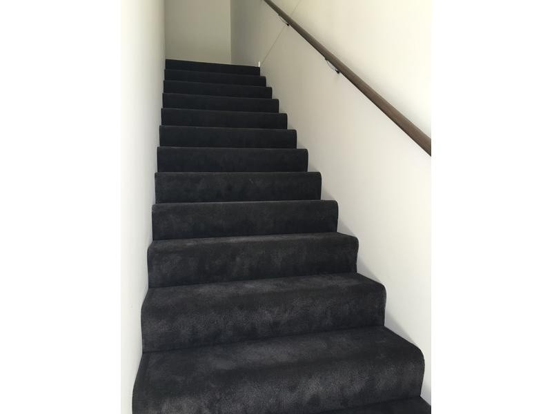 8 Curlew Way, Peregian Springs QLD 4573