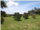 36 Fig Tree Lane, Lake Macdonald QLD 4563