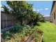15 Maple Court, Yandina QLD 4561