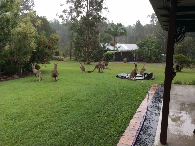 19 Silverwood Drive, Cooroibah QLD 4565