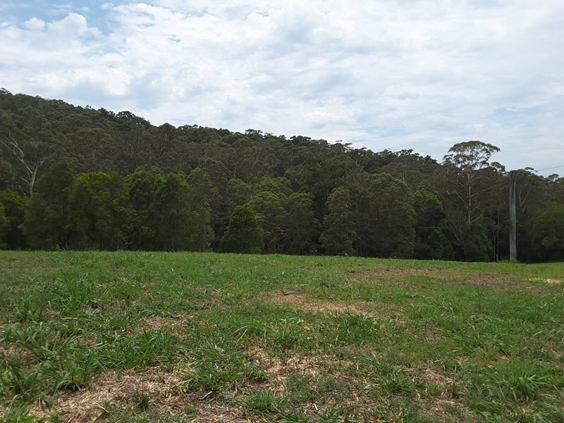 Lot 388 Duhs Road, Nambour QLD 4560