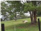 Lot 388 Duhs Road, Nambour QLD 4560