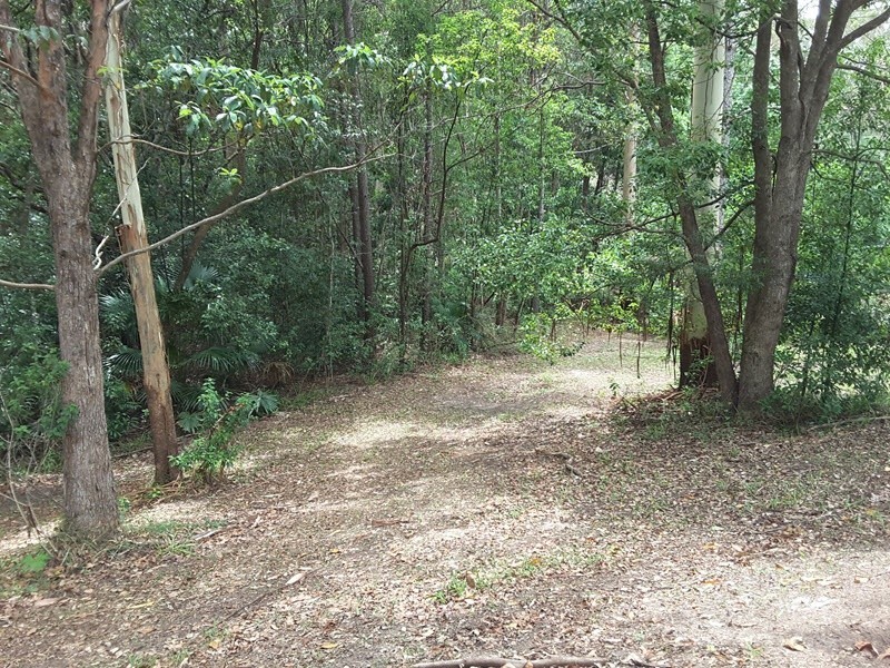 Lot 388 Duhs Road, Nambour QLD 4560