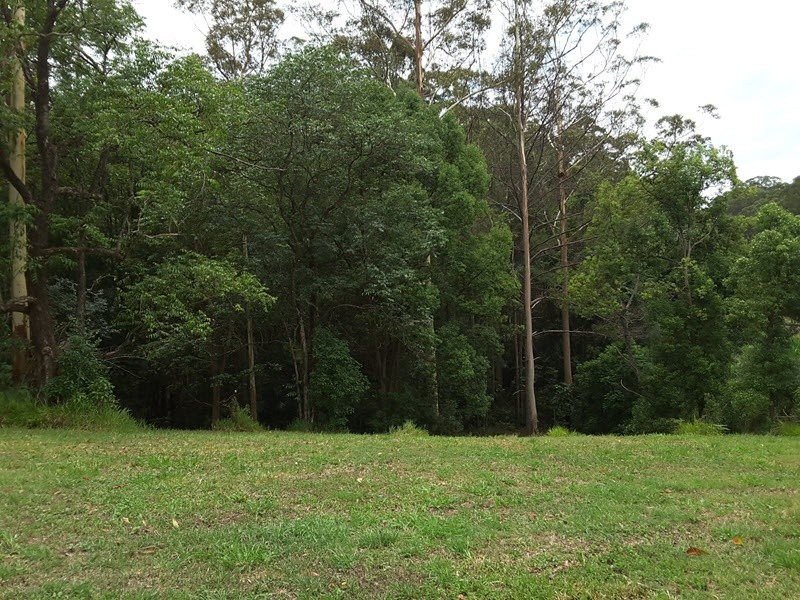 Lot 388 Duhs Road, Nambour QLD 4560