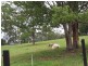 Lot 388 Duhs Road, Nambour QLD 4560