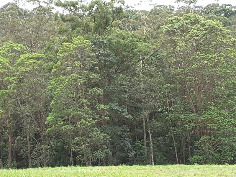 Lot 388 Duhs Road, Nambour QLD 4560