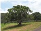 Lot 388 Duhs Road, Nambour QLD 4560