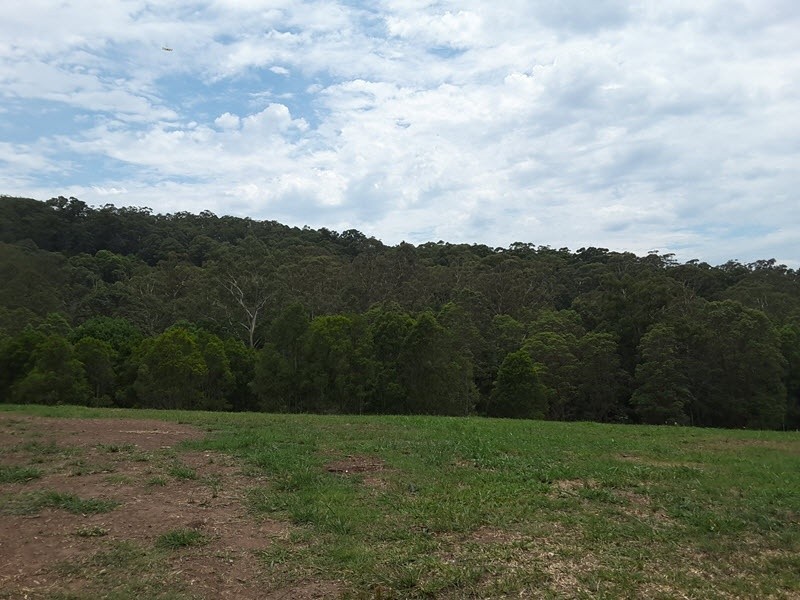 Lot 388 Duhs Road, Nambour QLD 4560