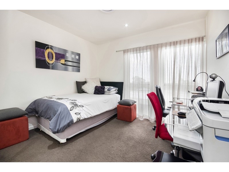 16 Pavilion Drive, Peregian Springs QLD 4573