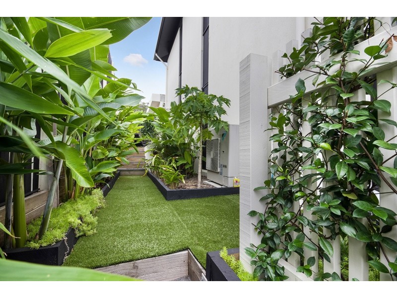 16 Pavilion Drive, Peregian Springs QLD 4573