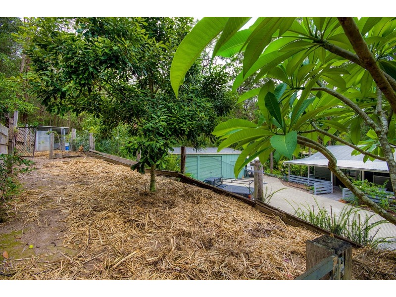 99 Collins Road, Ninderry QLD 4561