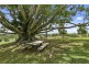 53 Martins Road, Cooroy Mountain QLD 4563