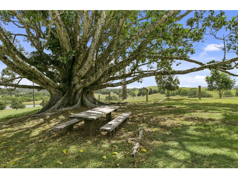53 Martins Road, Cooroy Mountain QLD 4563