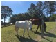 53 Martins Road, Cooroy Mountain QLD 4563